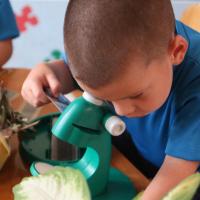 Estudiantes exploran y aprenden con recursos educativos disponibles